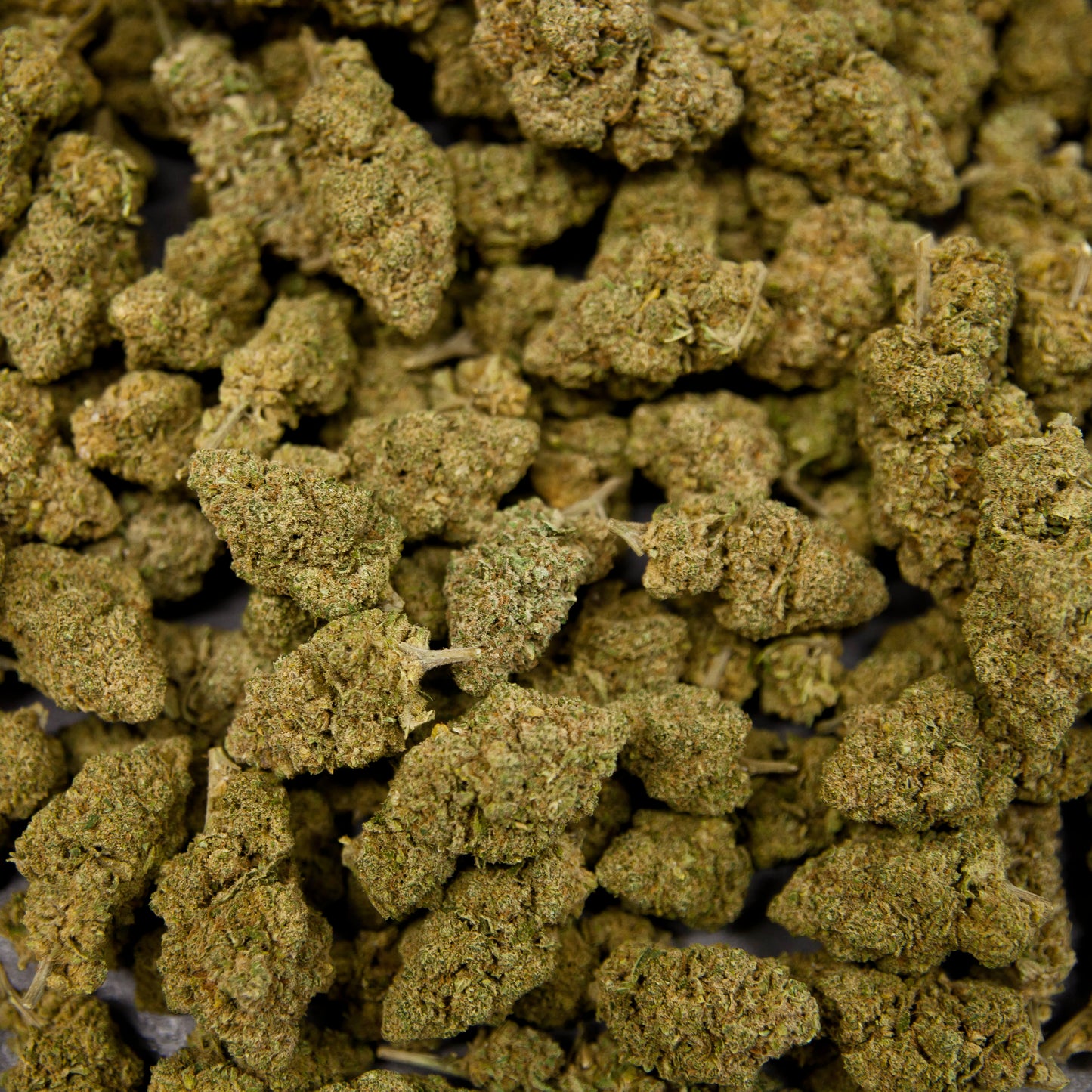 Fleurs de CBD - BANANA KUSH