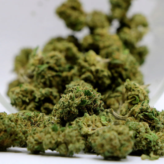 Fleurs de CBD - CANDY CREAM POP