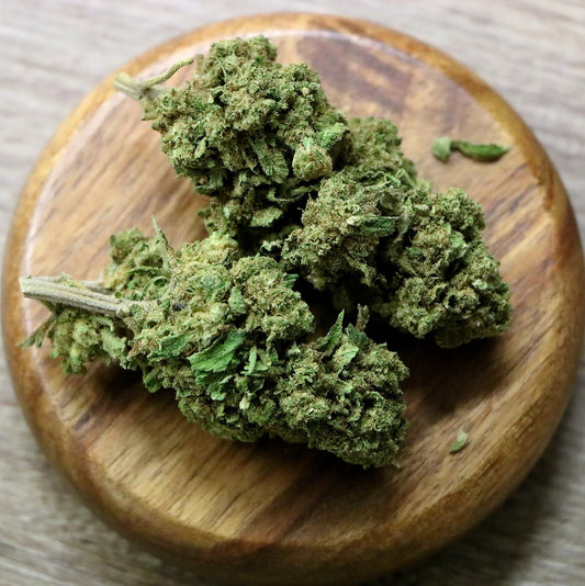 Tête de CBD Buuble Gum Greenhouse pas chere cultivée naturellement