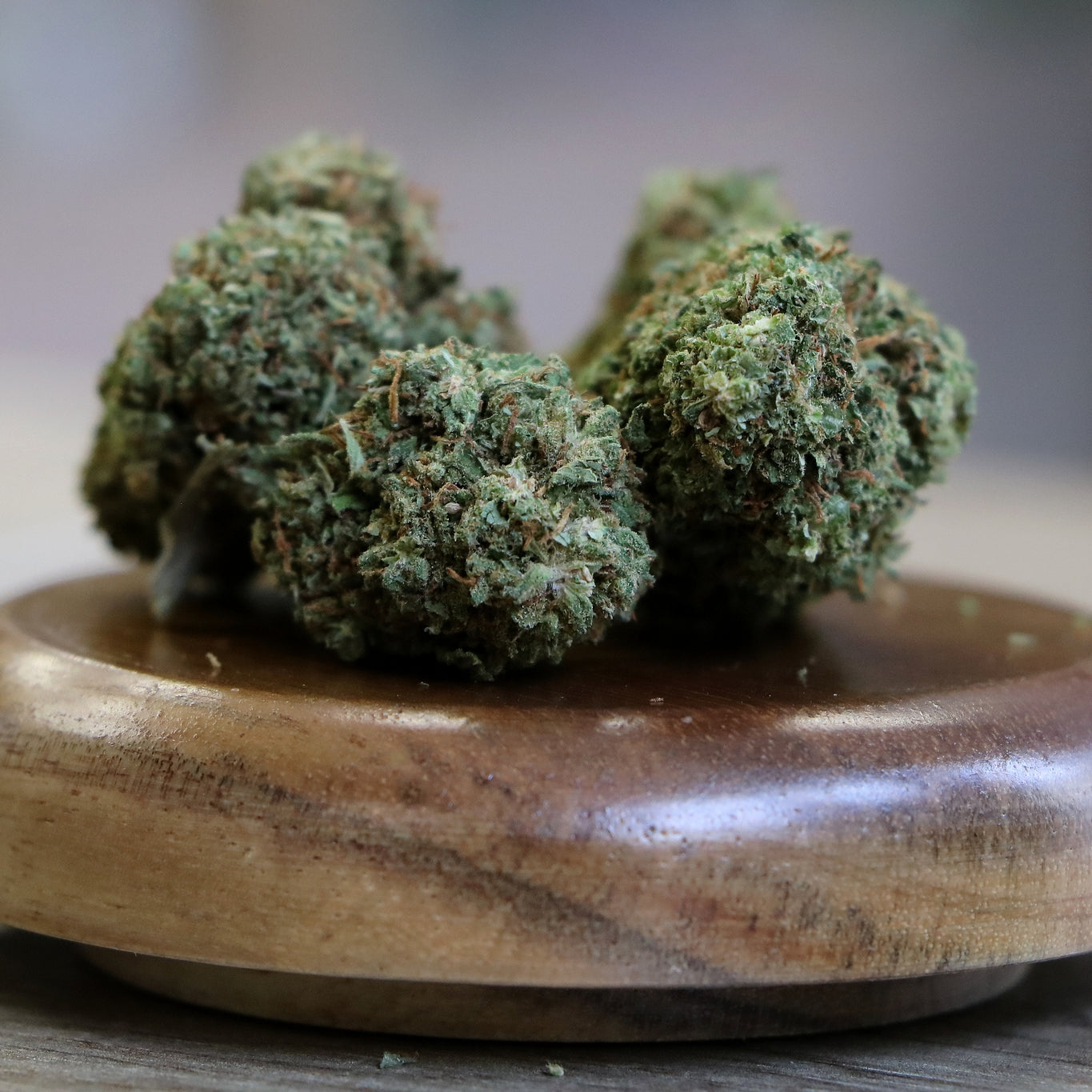 Zoom sur la Fleur de CBD Jack Herrer, une variété de chanvre riche en cannabidiol (CBD). Legal et prix mini
