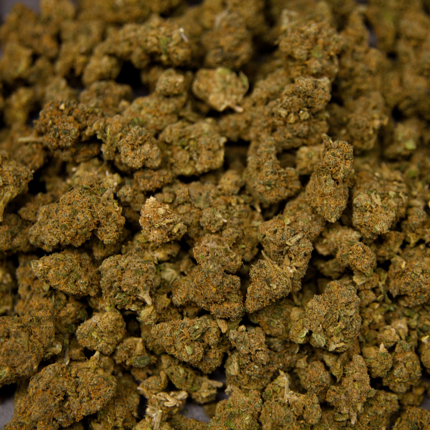 Fleurs de CBD - ALIEN OG