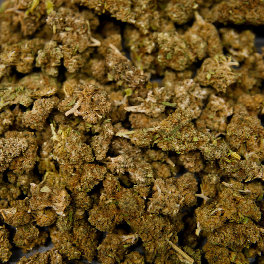 Fleurs de CBD - ORANGE BUD