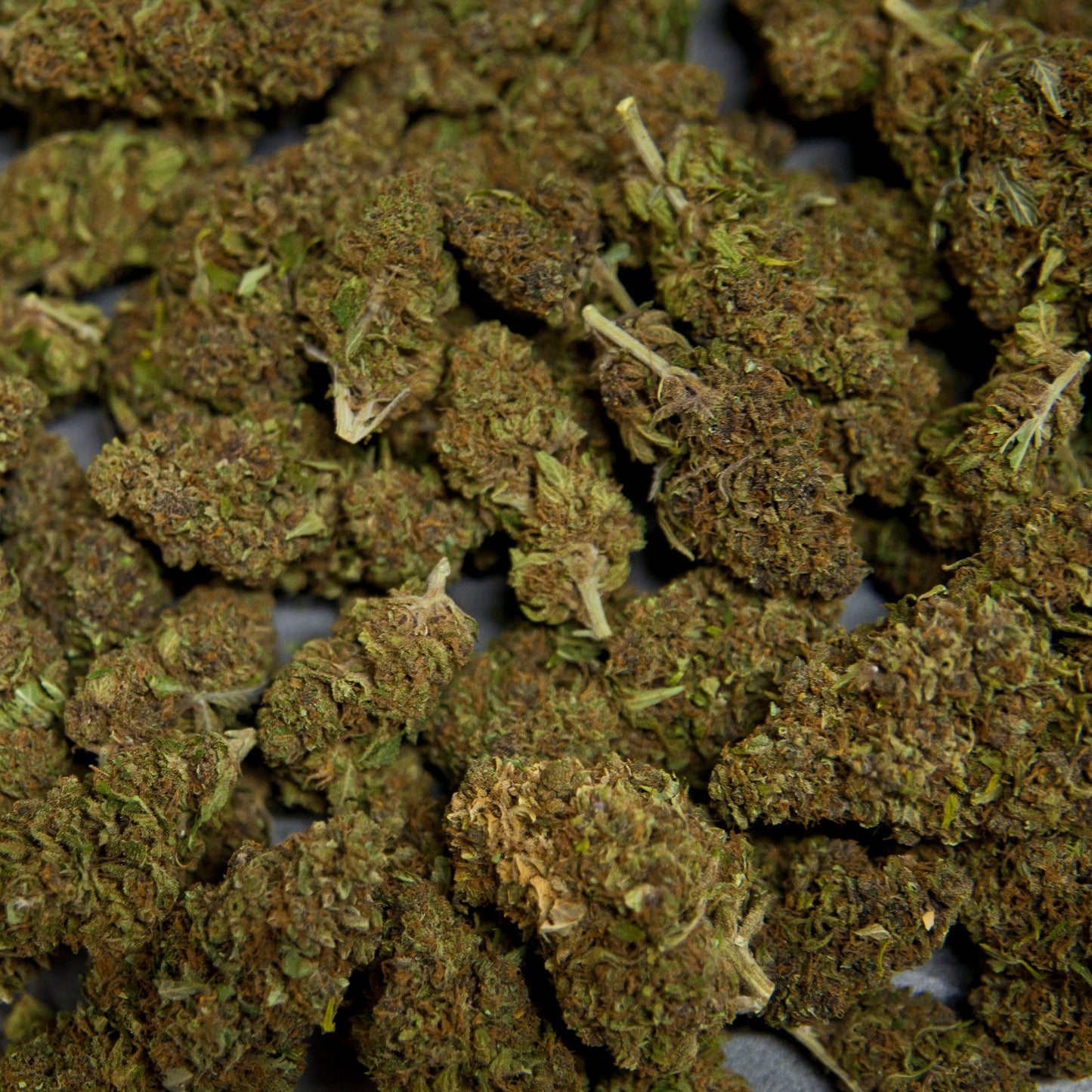 Fleurs de CBD - PINK PANTHER