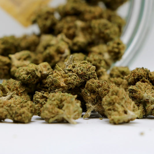 Fleurs de CBD - SOUR LIFTER POP