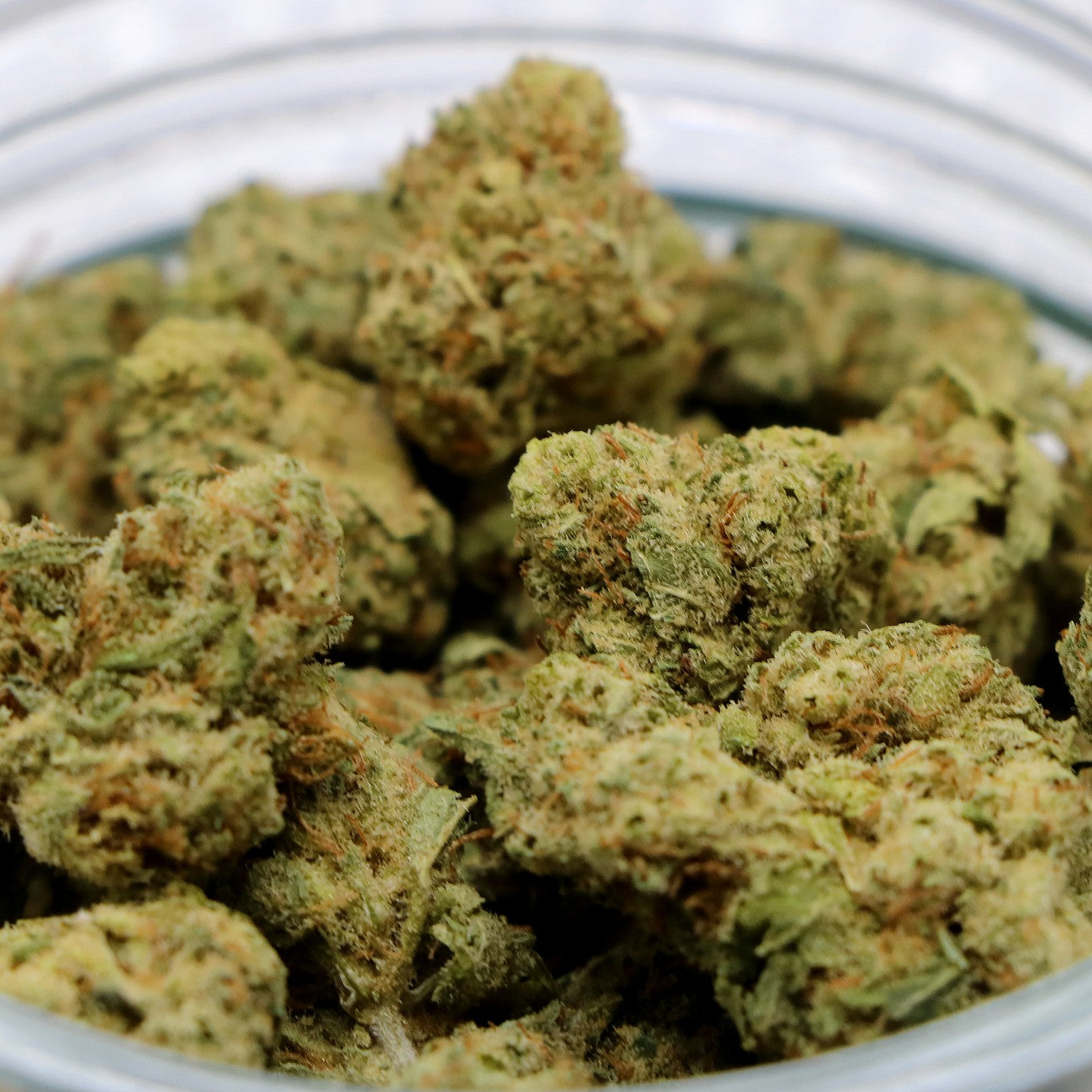 Fleurs de CBD - V1 POP INDOOR