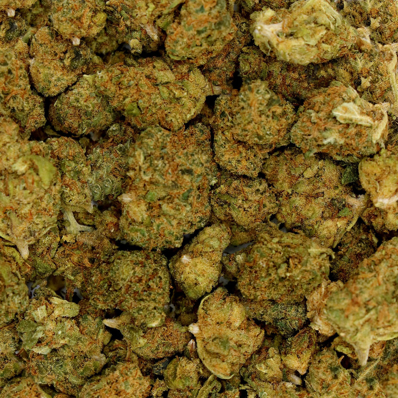 Fleurs de CBD - BLUEBERRY MUFFIN POP