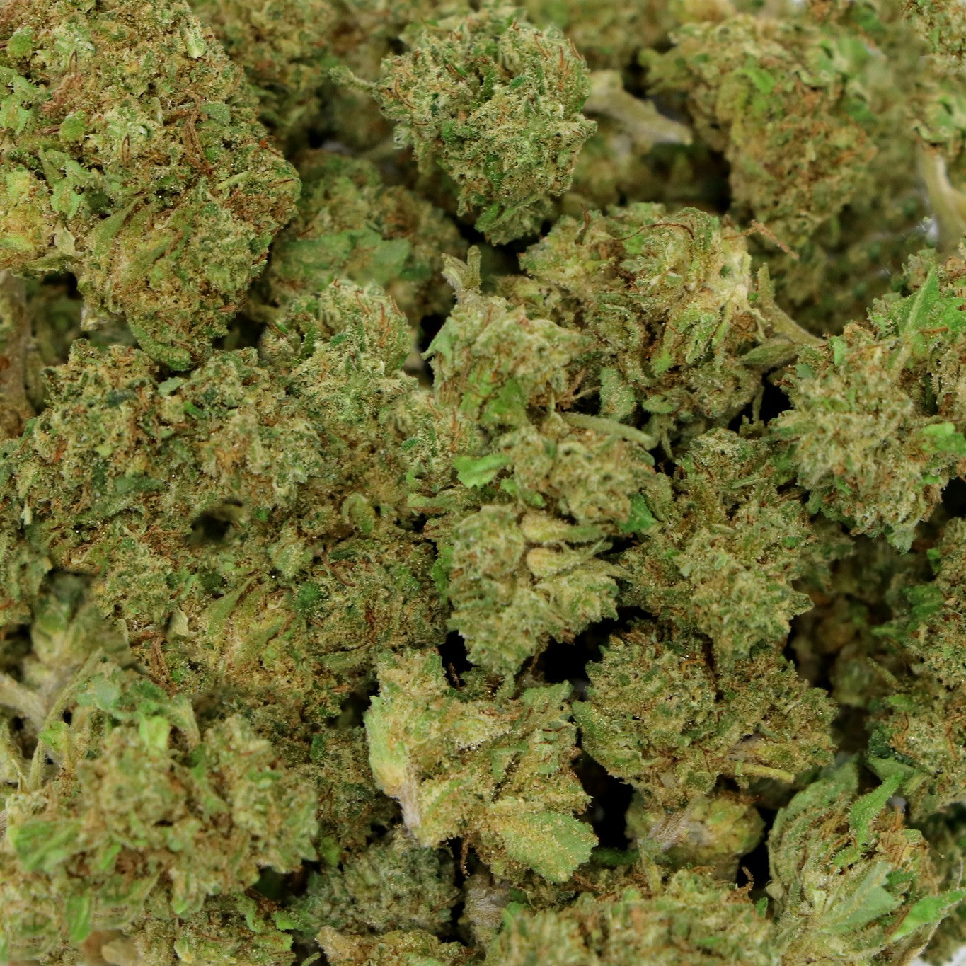 Fleurs de CBD - CANDY CREAM POP
