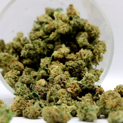 Fleurs de CBD - CRITICAL HYDRO POP