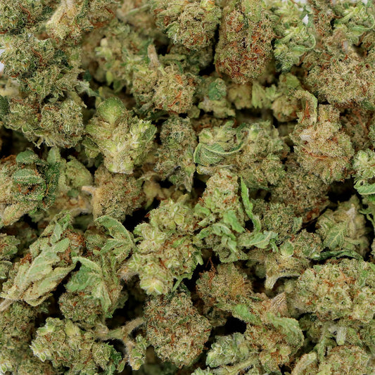 Fleurs de CBD - CRITICAL HYDRO POP