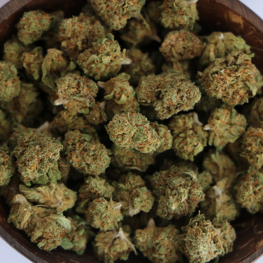 Zoom sur la fleur de CBD Cannatonic cultivée en greenhouse, petites têtes aux saveurs herbeuses et citronnées