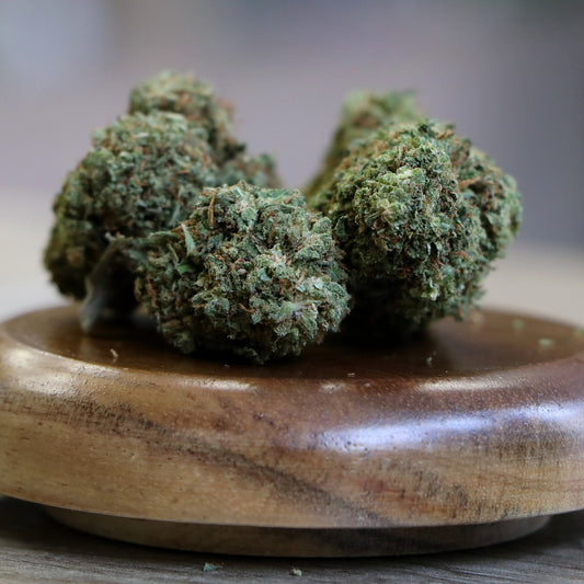 Zoom sur la Fleur de CBD Jack Herrer, une variété de chanvre riche en cannabidiol (CBD). Legal et prix mini
