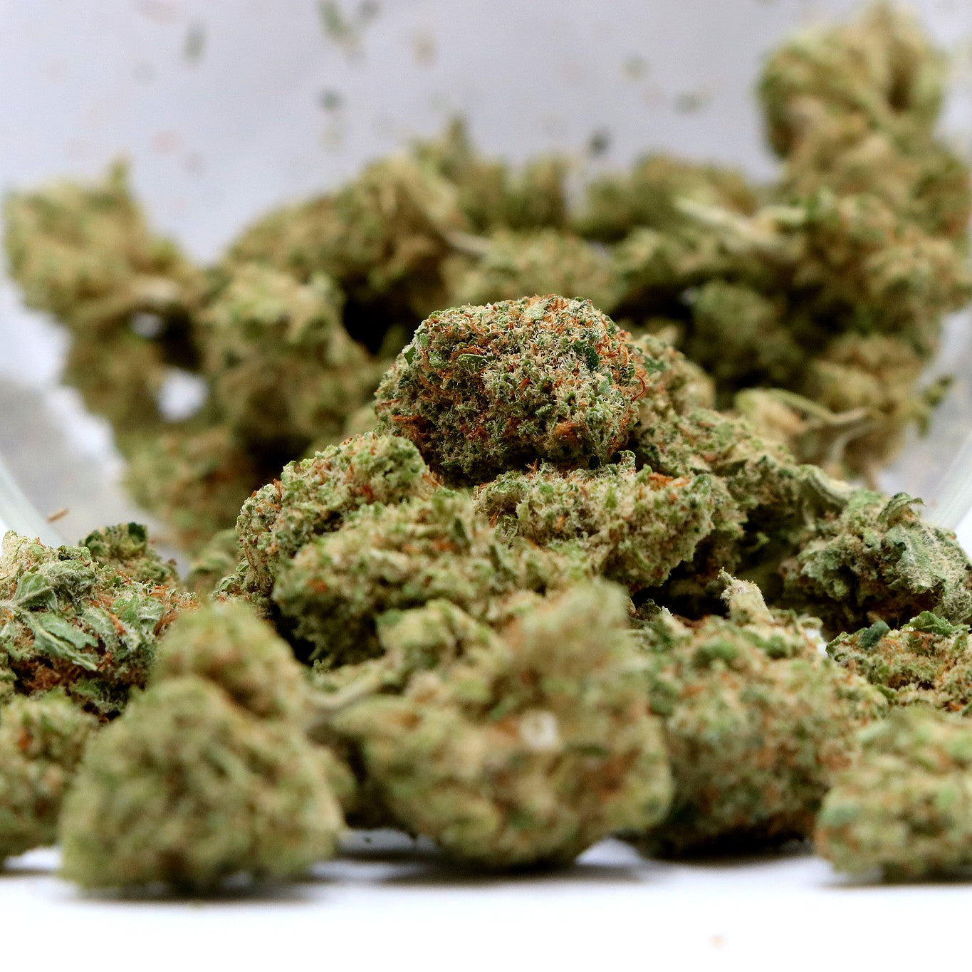 Fleurs de CBD - GELATO COOKIE