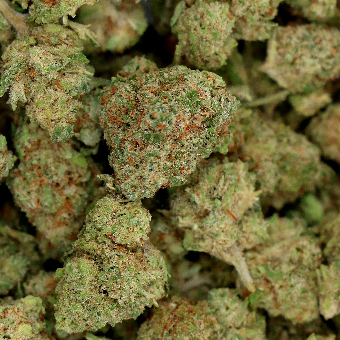 Fleurs de CBD - GELATO COOKIE