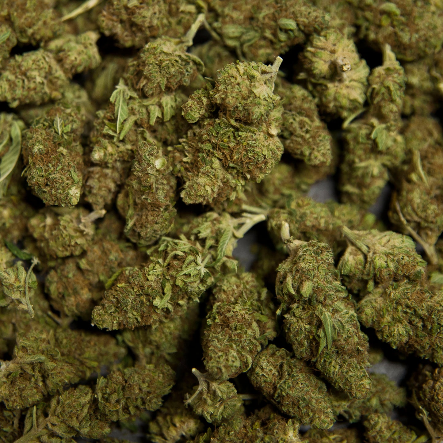 Fleurs de CBD - GORILLA
