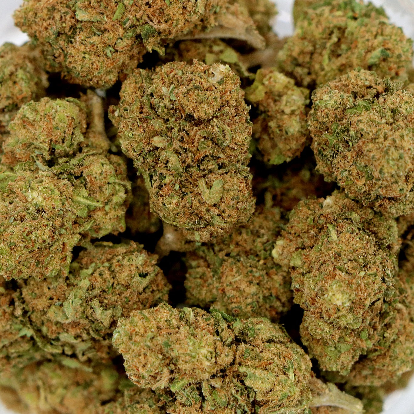 Fleurs CBD - HARLEQUIN