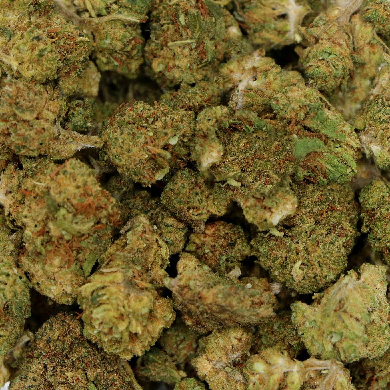 Fleurs de CBD - HAWAIAN POP