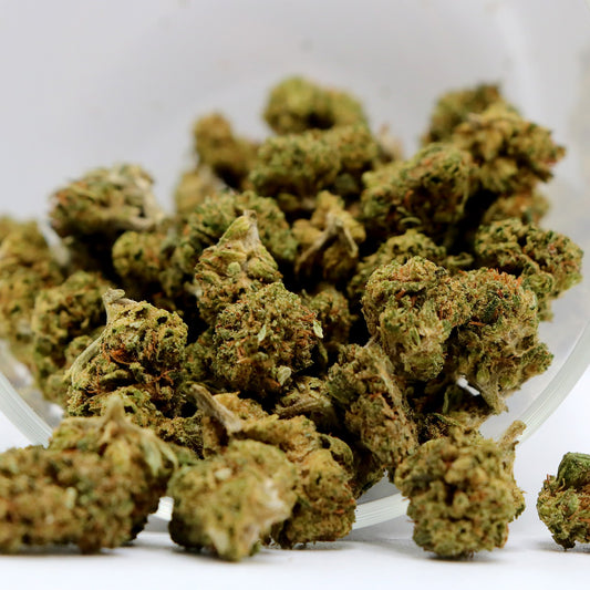 Fleurs de CBD -  ORANGE BUD POP