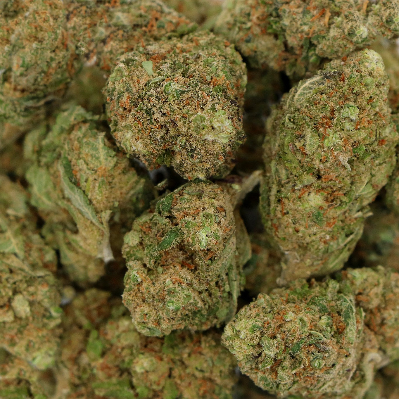 Fleurs de CBD - HQ x CT