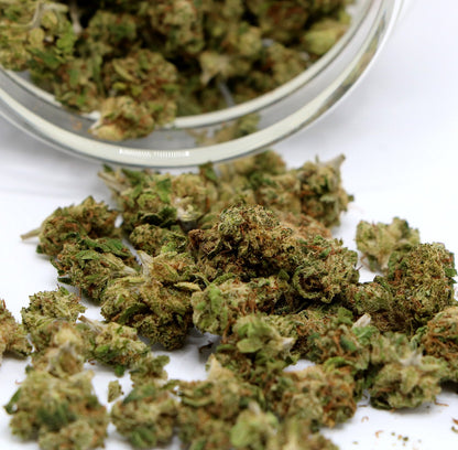 Fleurs de CBD - LEMON HAZE POP