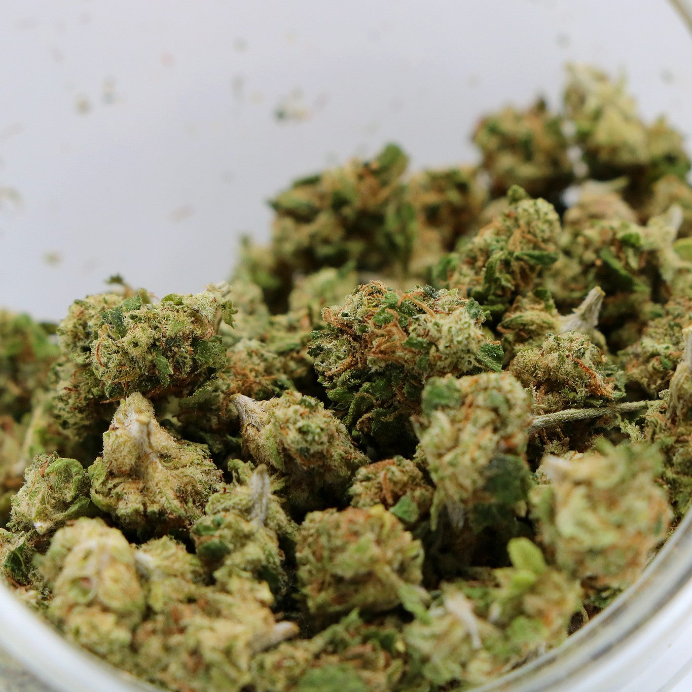 Fleurs de CBD - LEMON HAZE POP