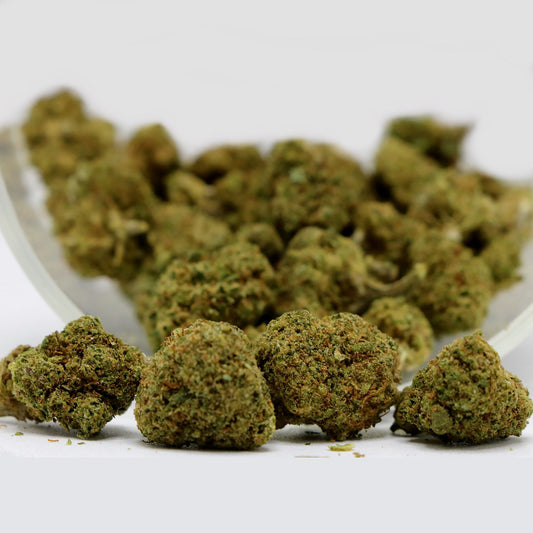 Fleurs de CBD - LIFTER US HYDRO POP