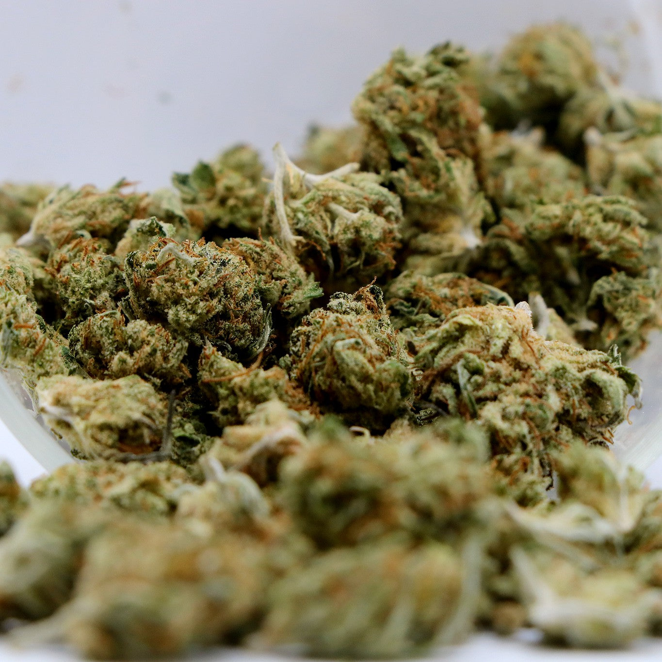 Fleurs de CBD - ORANGE CALI POP