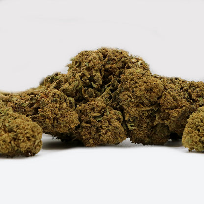 Fleurs CBD - WHITE DAWG