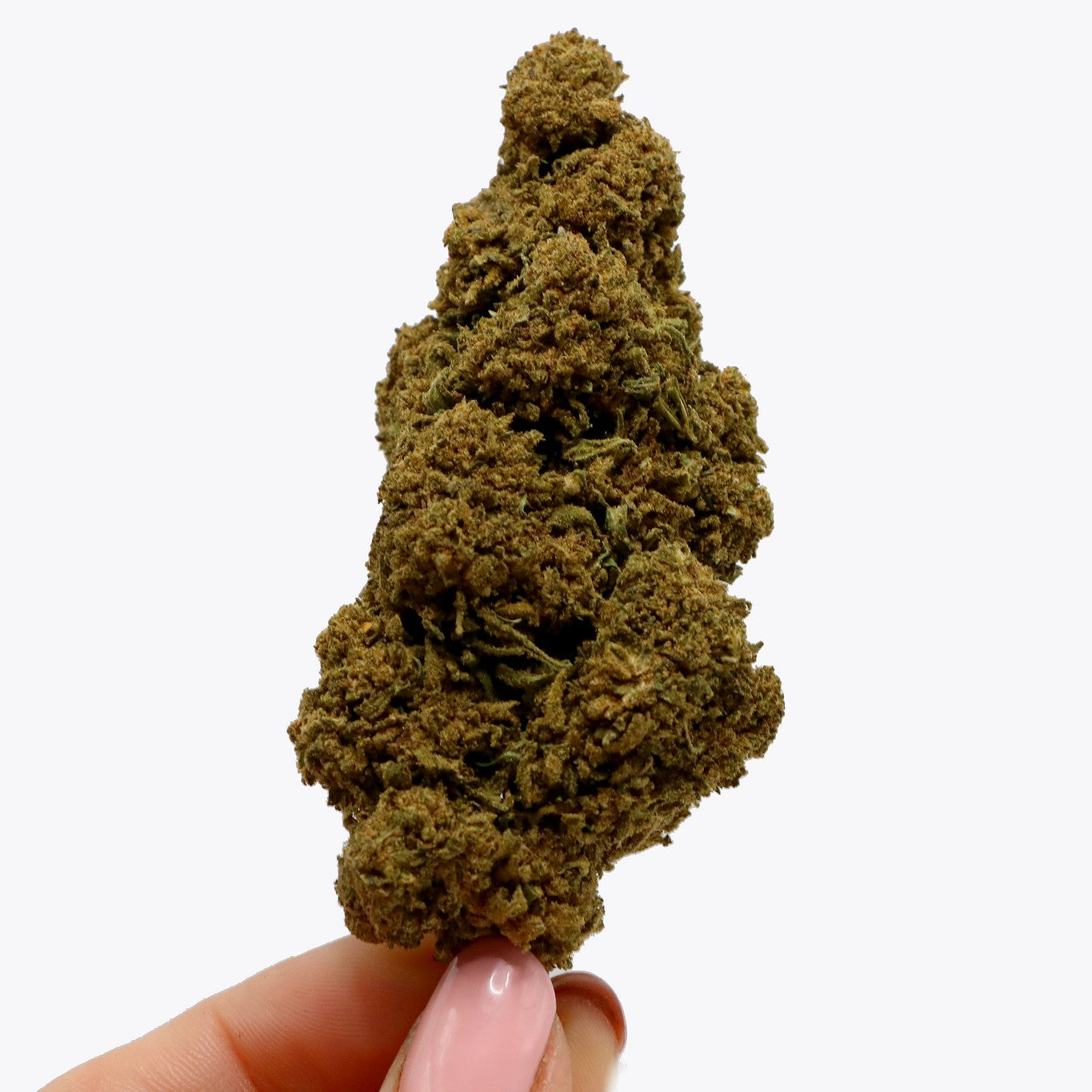 Fleurs CBD - WHITE DAWG