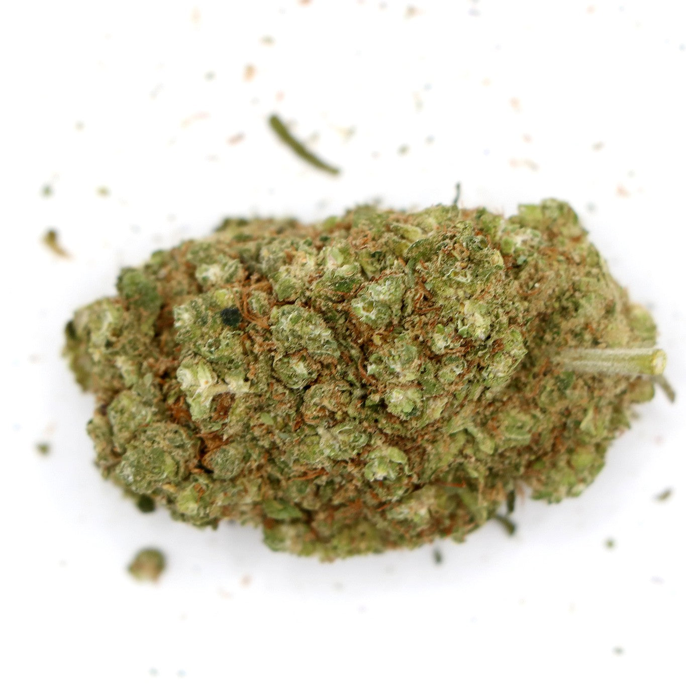 Fleurs de CBD - GELATO