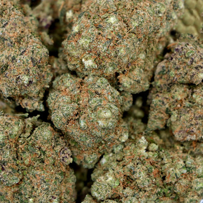 Fleurs de CBD - GELATO