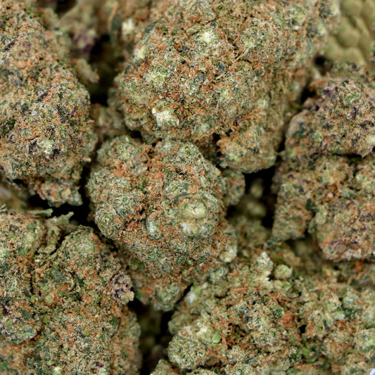 Fleurs de CBD - GELATO
