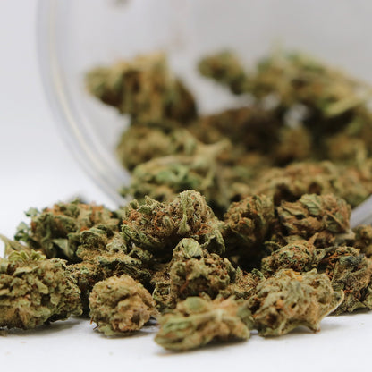 Fleurs de CBD - GORILLA POP GH