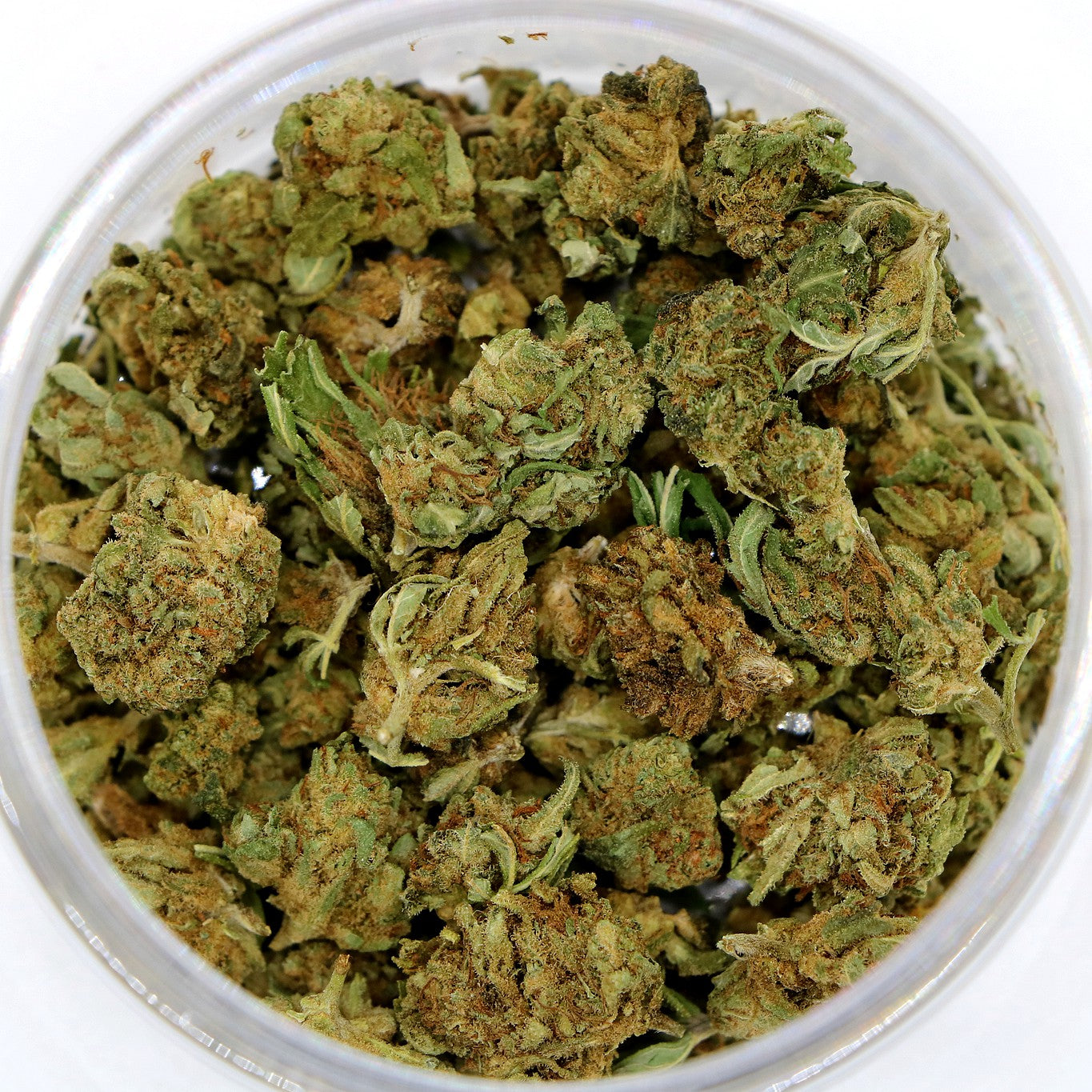 Fleurs de CBD - GORILLA POP GH