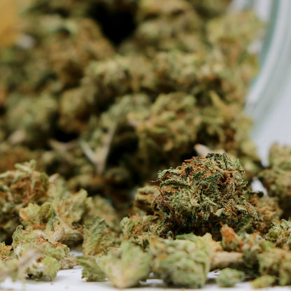 Fleurs de CBD - WHITE WIDOW POP IND