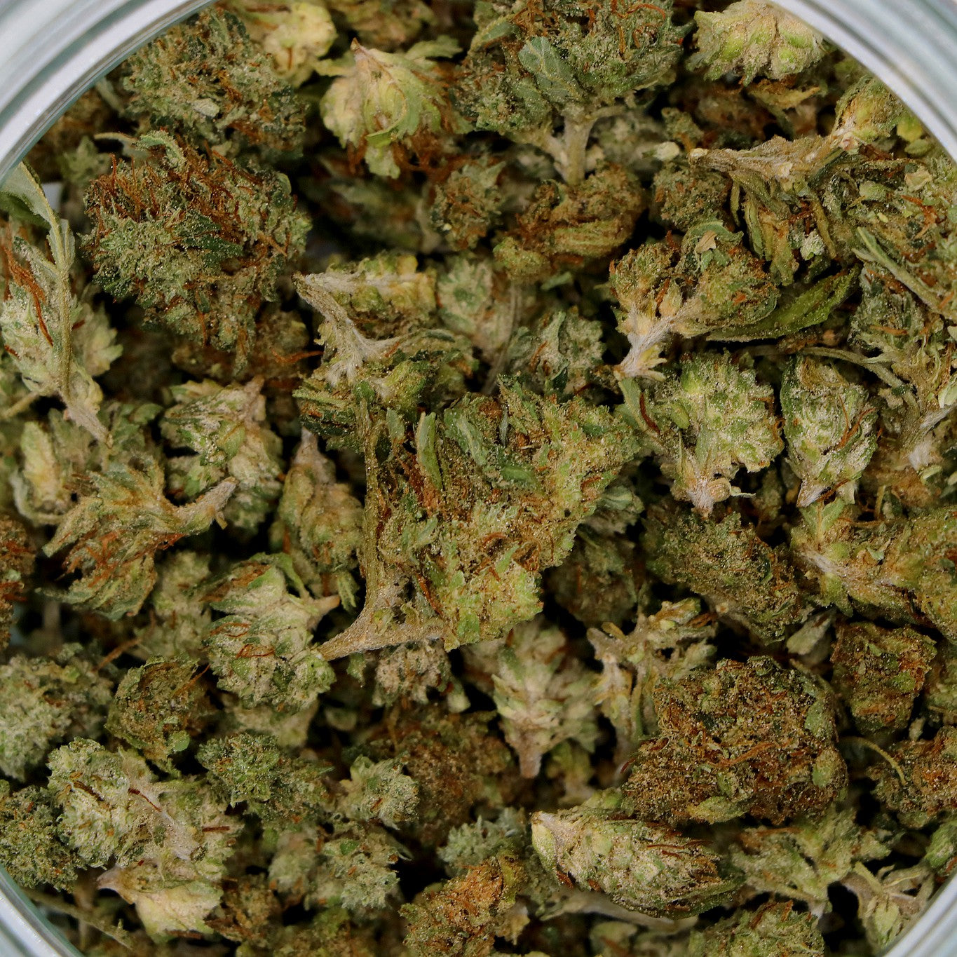 Fleurs de CBD - WHITE WIDOW POP IND