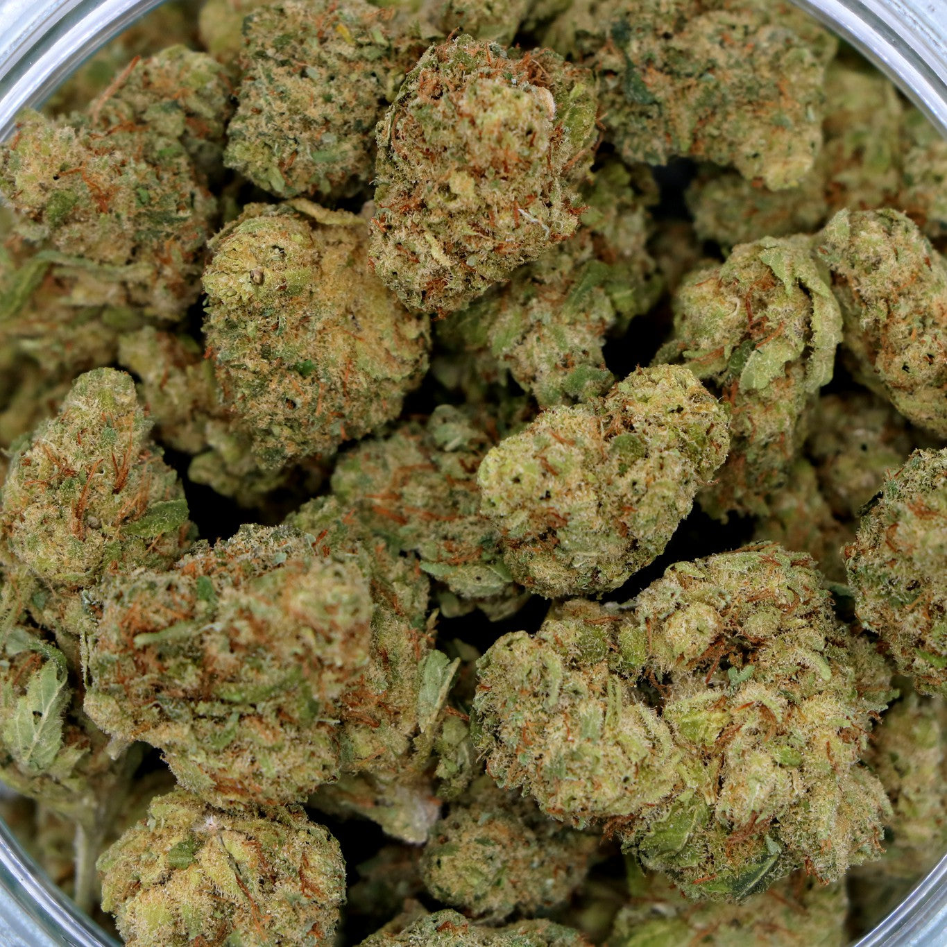 Fleurs de CBD - V1 POP INDOOR